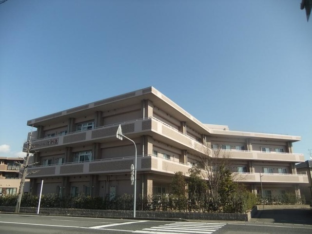 けやき