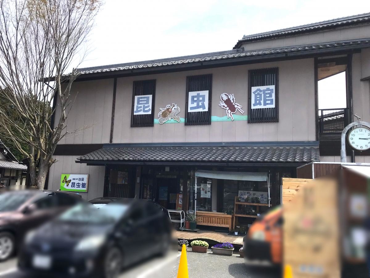 谷汲昆虫館