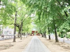 葛飾八幡宮