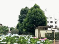 宮が谷戸緑地