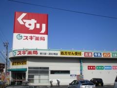 スギ薬局　新川店