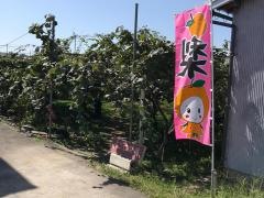 果樹の森よこせ梨園
