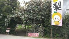 果樹の森よこせ梨園