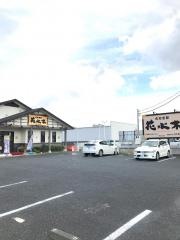 花水木