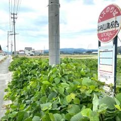 「北村山高校西」バス停留所