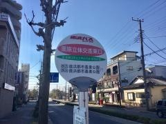 「栗原立体交差東口」バス停留所