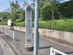 「桐蔭学園入口」バス停留所