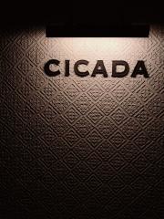 ＣＩＣＡＤＡ