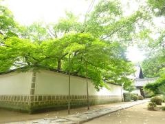曹源寺庭園
