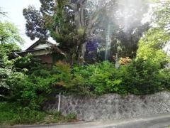 八代山　一如寺