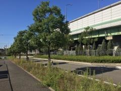 港楽街園