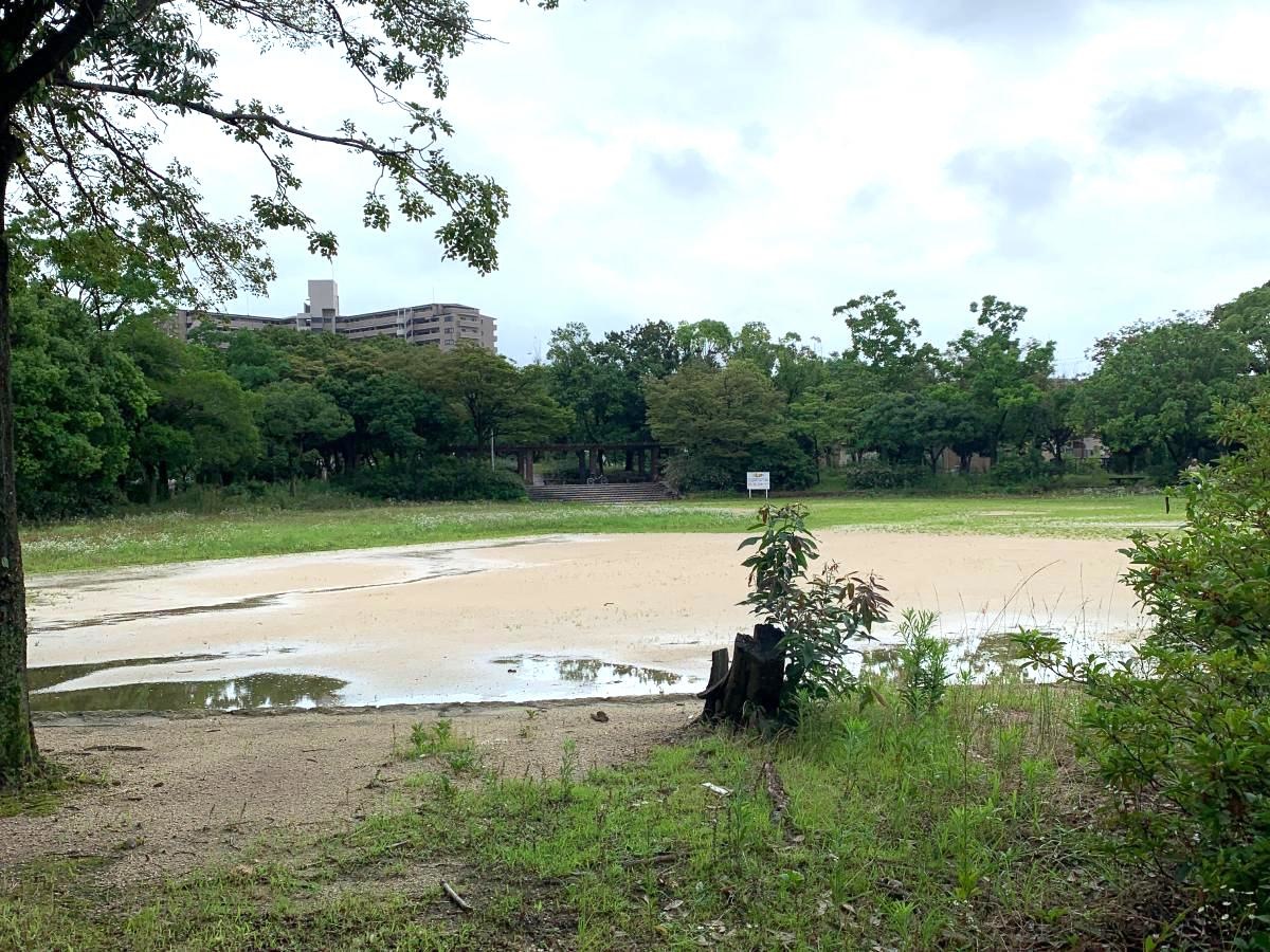 今池公園