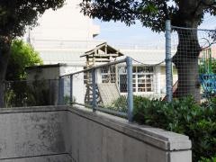 中央幼稚園
