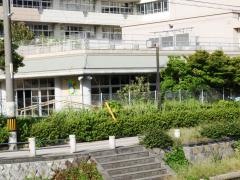 中央幼稚園