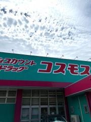 ドラッグストアコスモス　岸の浦店