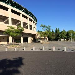 みどりの森県営球場
