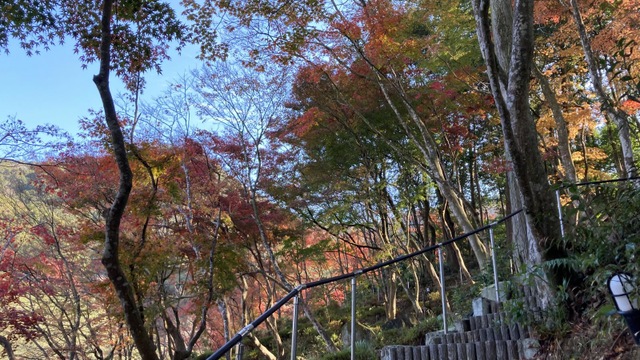 施設写真10
