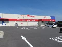 ドラッグストアウェルネス　北栄店