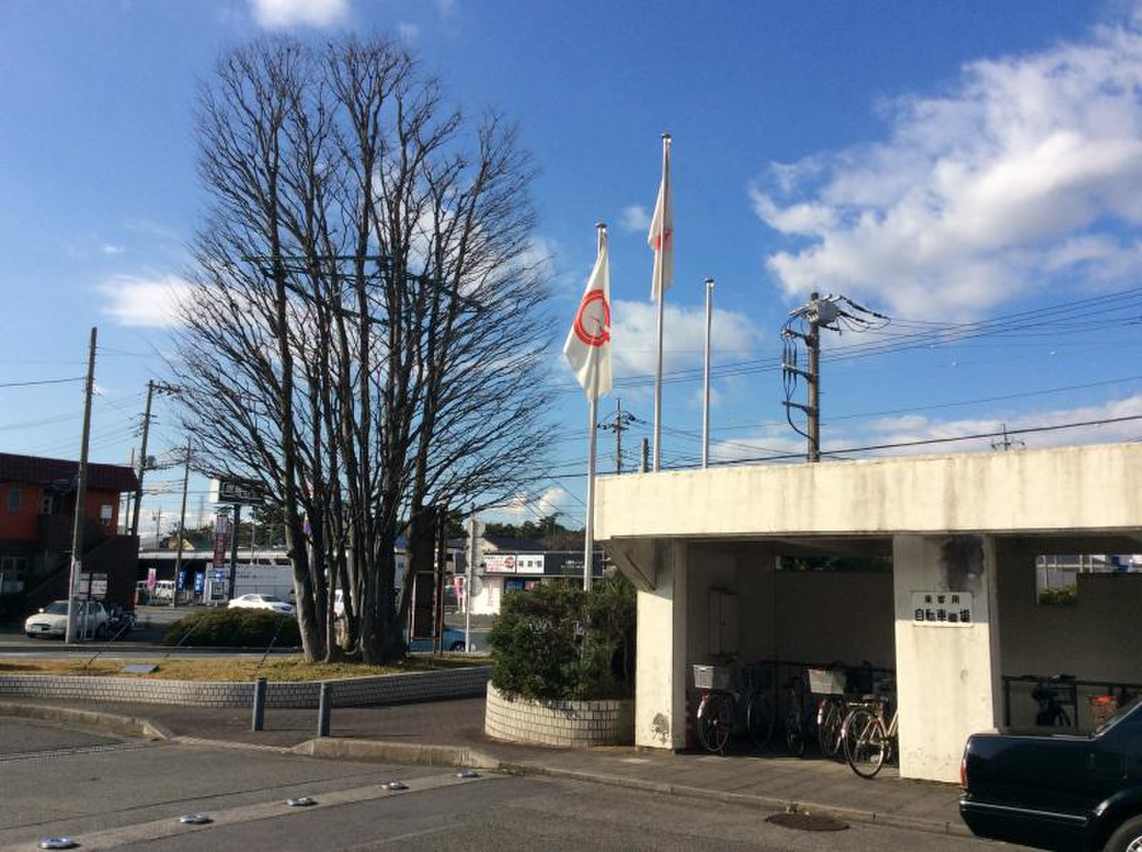 公の場での発言・インタビュー報道記録