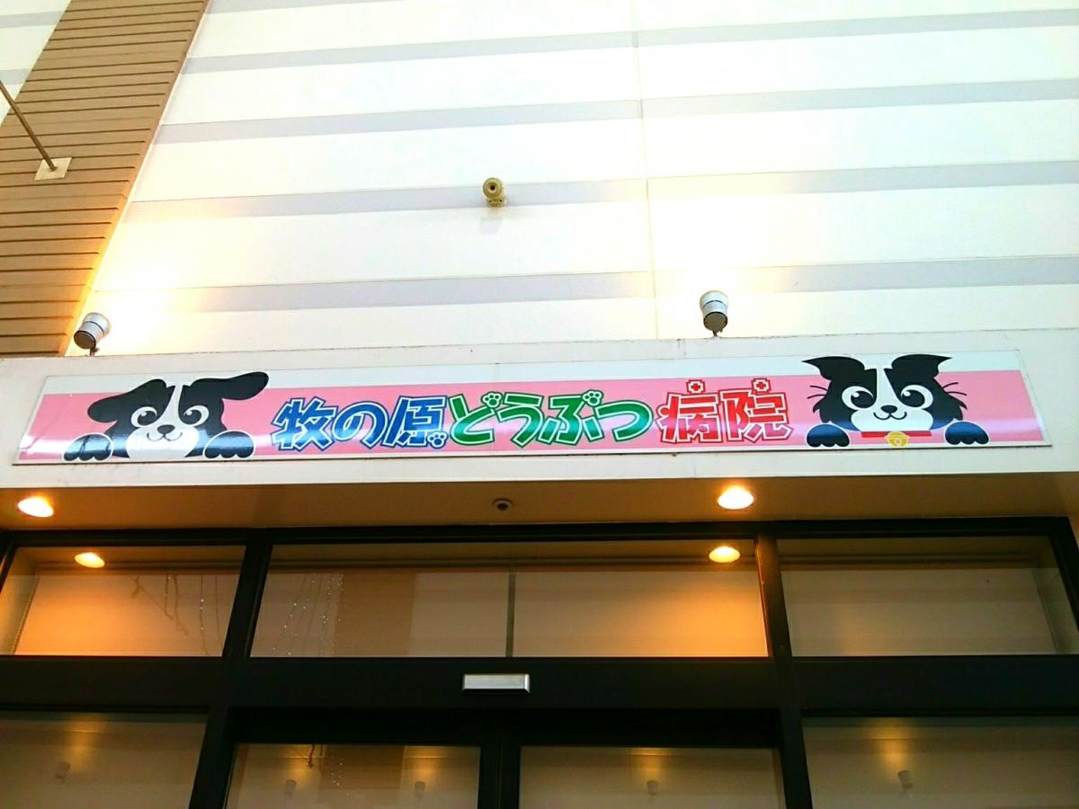 牧の原動物病院