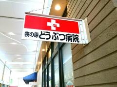 牧の原どうぶつ病院