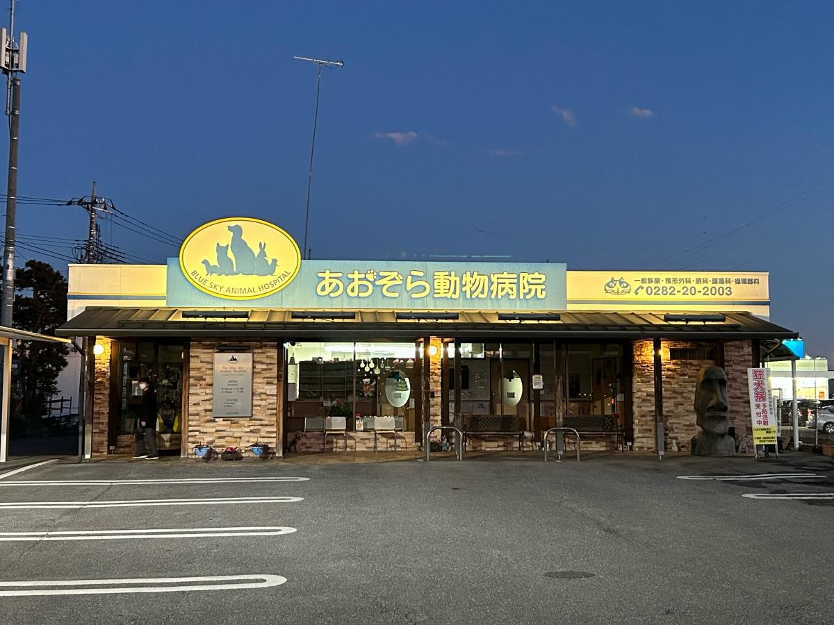 動物病院