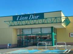 リオン・ドール鏡石店