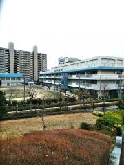 第三大島小学校