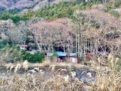 須雲山荘バンガロー