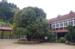 翠小学校