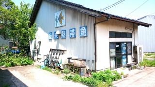 安来熱帯魚