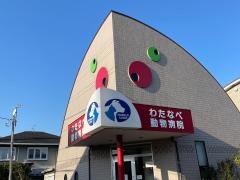 わたなべ動物病院