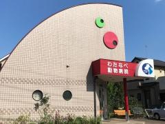 わたなべ動物病院