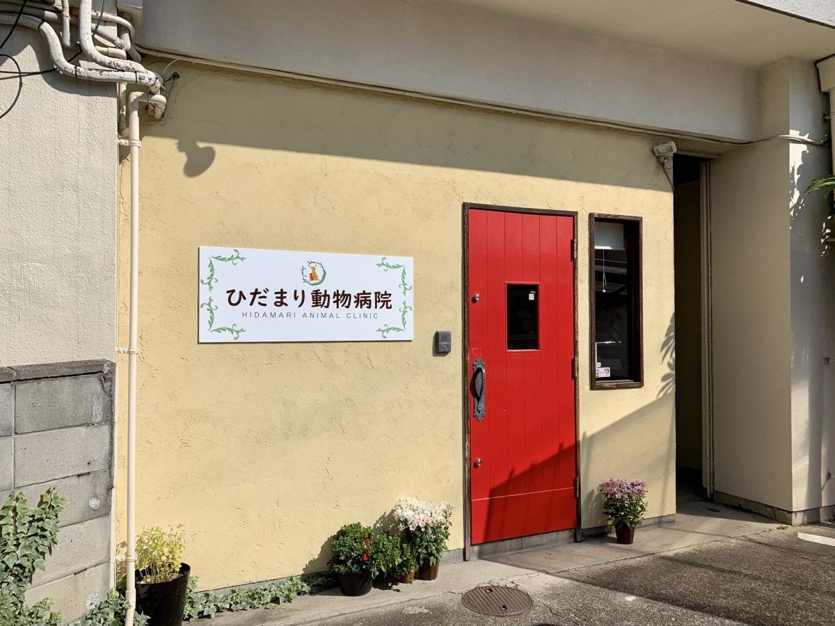 ひだまり動物病院、駐車場からの入り口。