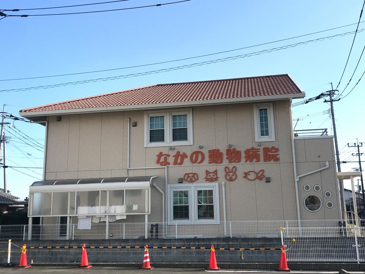 なかの動物病院です。