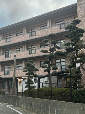 国分