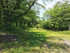 雉岡城跡