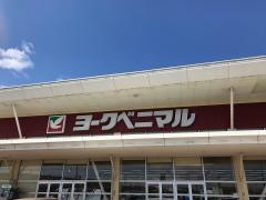 ヨークベニマル　中郷店