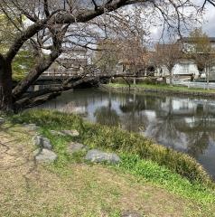 若林池緑地