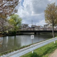若林池緑地