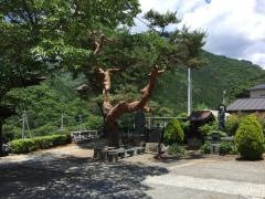 景徳院
