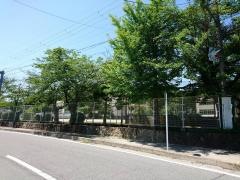 畑野小学校