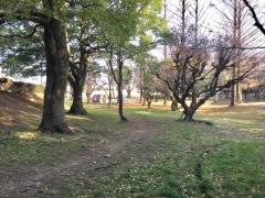 野中公園