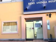 ベーネ動物病院
