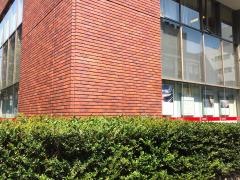 東洋証券株式会社　横浜支店