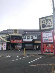 牛角　稲葉バイパス店