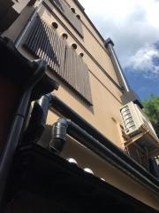 つぼみ