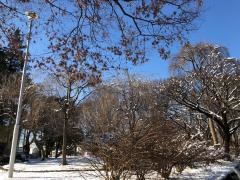 前九年公園
