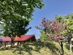 池田こども園