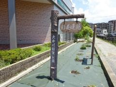 翠花堤苑